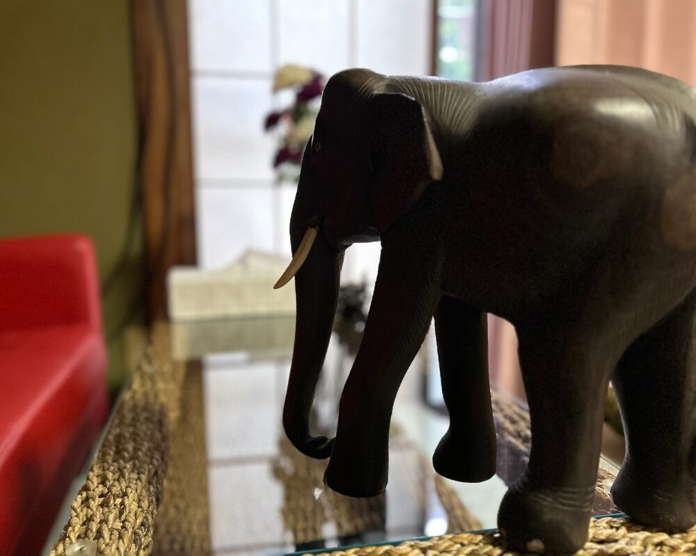 茨城県小美玉市納場のタイ古式マッサージ・アユタヤの店内